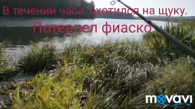 Ловишь окуня обрывает щука смотреть онлайн