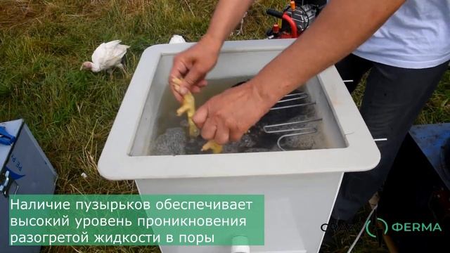 Шпарчан "Автоградус-4000" для ошпаривания домашних птицы от CrazyFerma. Совершенно новая модель! смотреть онлайн