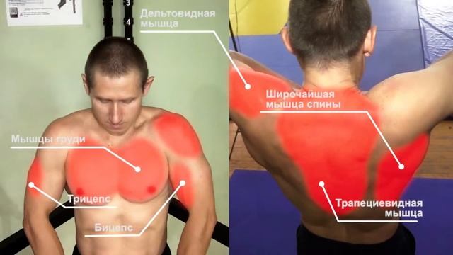 Новый тренажер mfbd.ru смотреть онлайн