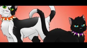 Коты-Воители песня -Ошибка