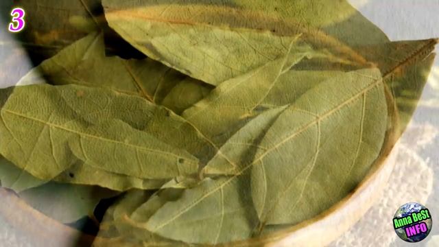 Обязательно держите ЭТО на кухне, чтобы привлечь деньги и удачу!!! смотреть онлайн