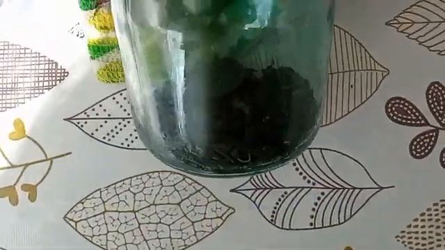 Ферментированный чай из листьев ирги. Как приготовить и какой он на вкус смотреть онлайн