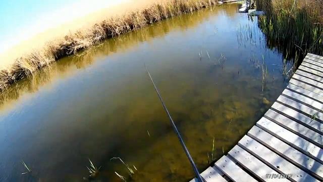 Секреты Творческого Сотворения