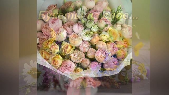 Николай Седов. Кубанский поэт. Стихотворения. смотреть онлайн