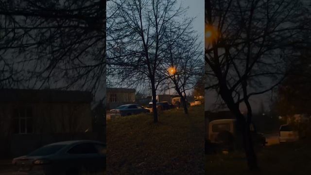 По дороге в детский сад