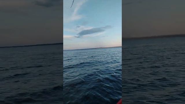 покатушки. прогресс 2 tohatsu 30. Воткинское водохранилище. 38км в час. смотреть онлайн