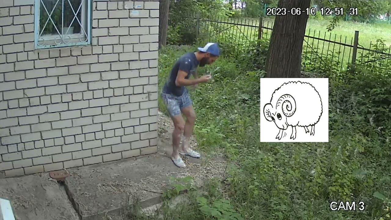 202306101252 барашки смотреть онлайн