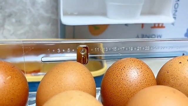 Кухонная Подставка для хранения яиц 30 шт. смотреть онлайн