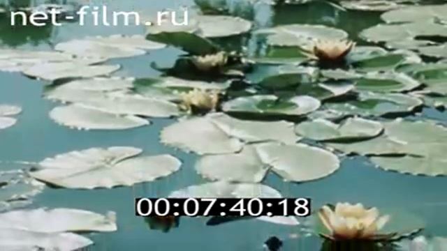 Ялта 1987 СССР смотреть онлайн
