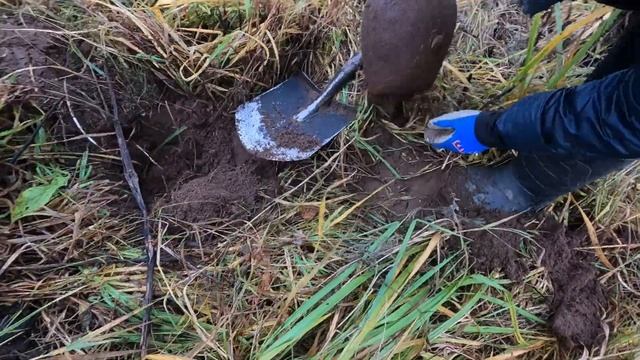 Металлокоп/Коп с мамой на разрушенной ферме порадовал/Пришли местные/Погода хорошая, но зима скоро. смотреть онлайн