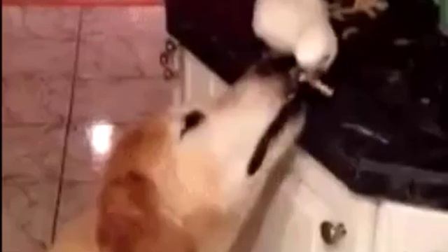 Есть друзья и для них у друзей нет выходных смотреть онлайн