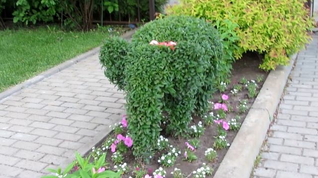 Топиари в моем саду | Про Сад с Любовью смотреть онлайн