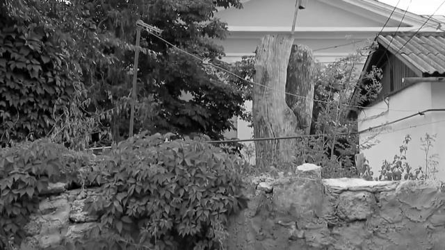 Иринопольский_блюз