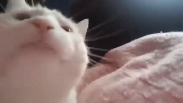 та самая музыка из детства смотреть онлайн