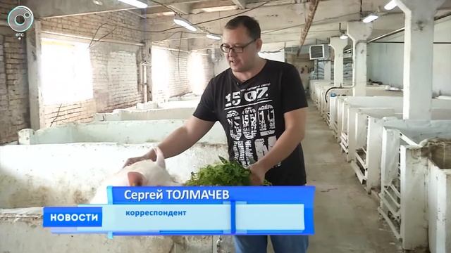 Учёные Академгородка вывели поросят с пятью пальцами смотреть онлайн