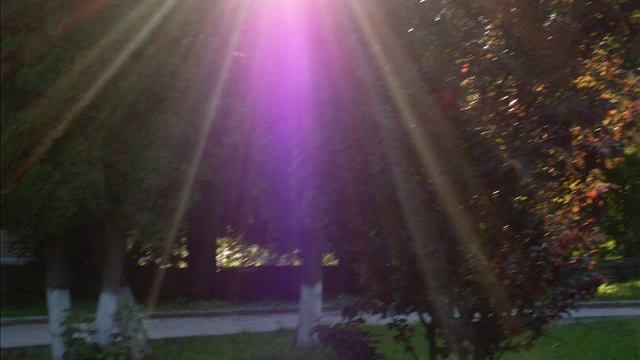 МОЛИТВА ОБ УВЕЛИЧЕНИИ ЛЮБВИ В ДУШЕ смотреть онлайн