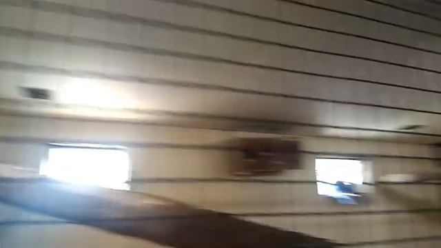 Террариум/ Парк птиц/ Калуга смотреть онлайн