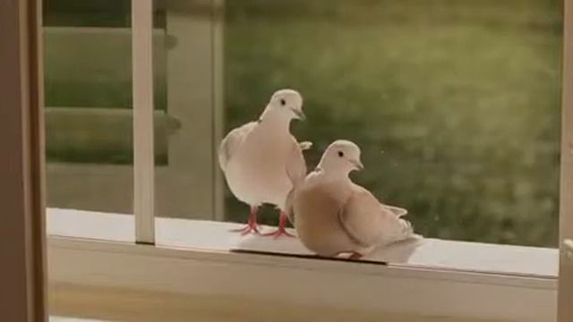 Эван Всемогущий вырезка