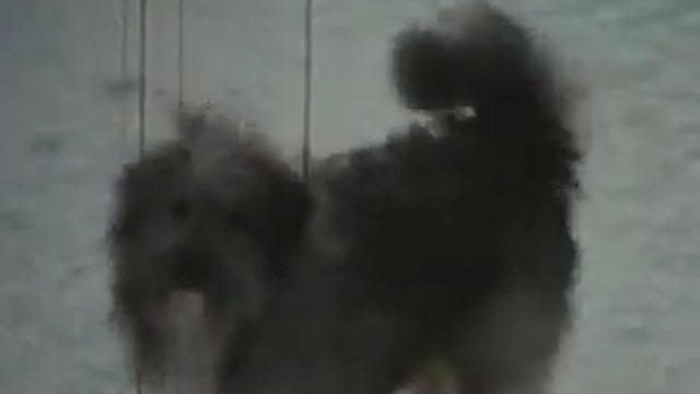 Чижа в.ч 70159.Ненецкий Автономный Округ смотреть онлайн
