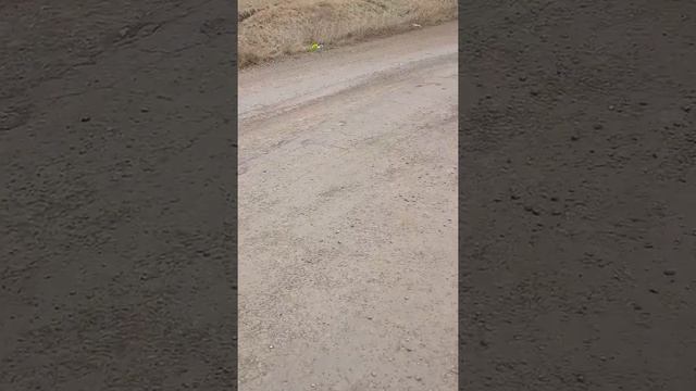 Атбасарский дорога выезд сторону перекатное ремонта сколько лет смотреть онлайн