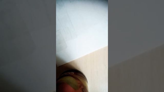 ?Как сделать каталог смотреть онлайн