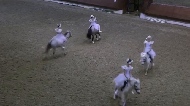 Танец Маленьких лебедей, на пони!!! смотреть онлайн
