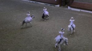 Танец Маленьких лебедей, на пони!!!