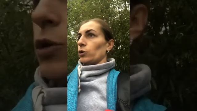 Из чего складывается стоимость обувающих тренингов Альфа Академии смотреть онлайн