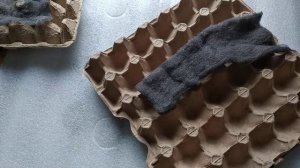 Кабина Райха