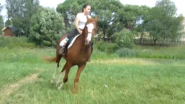 Best week spent with horses :3 смотреть онлайн