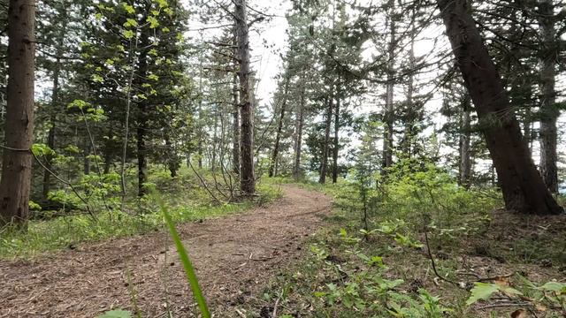 ROCKRIDER RACE 900 TEST E RECENSIONE смотреть онлайн