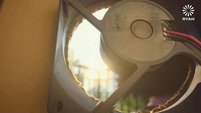 Meet Our Eco Activists | Ryan Group Of Institutions смотреть онлайн