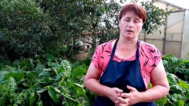 Почему цыплята садятся на ноги. Причины и решение проблемы. смотреть онлайн
