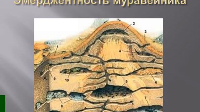 Системные свойства смотреть онлайн