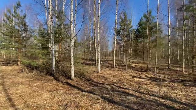 30 мая 2022 г. смотреть онлайн
