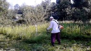 Stihl FS 56