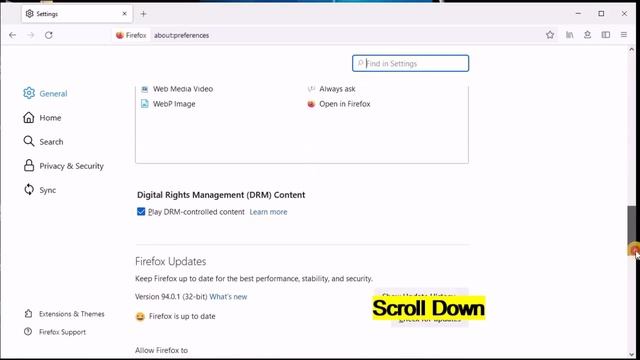Firefox Browser Auto Update Enable | Disable | On Windows PC/Laptop