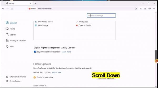 Firefox Browser Auto Update Enable | Disable | On Windows PC/Laptop