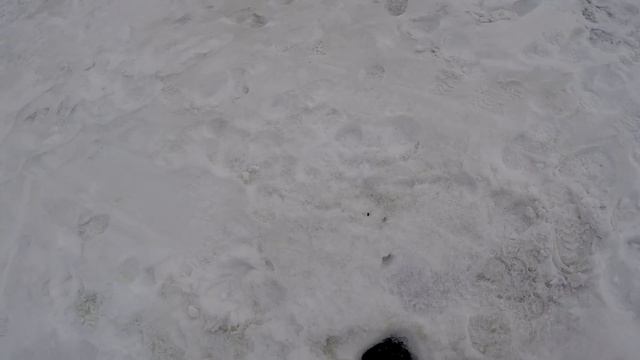 ВОТ ЭТО ПОКЛЁВКА!! Ловля на ВЕДЬМУ.Рыбалка на Оби. смотреть онлайн