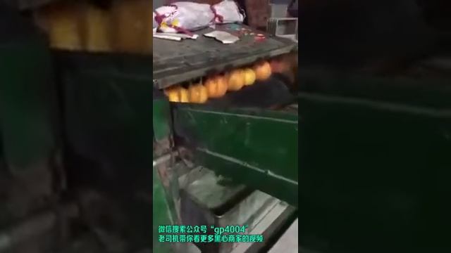 Мандарины в Китае испорченые смотреть онлайн