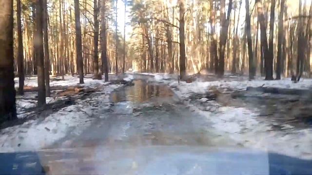 Zaz Tavria, forest смотреть онлайн