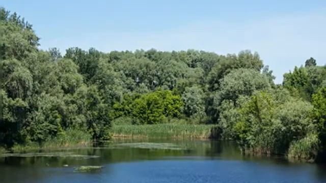 Миргород июль 2019г.Миргород Курорт - известный оздоровительный комплекс, одно из красивейших турис смотреть онлайн