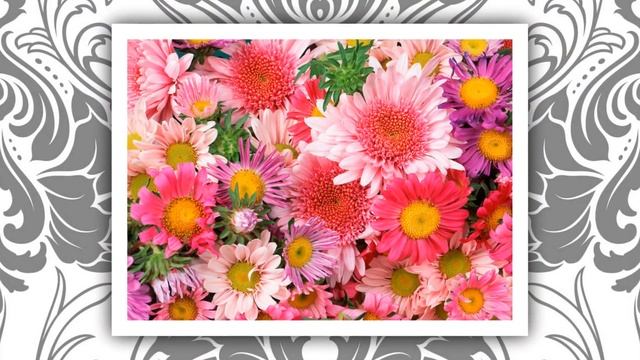 Букет любви для тебя! смотреть онлайн