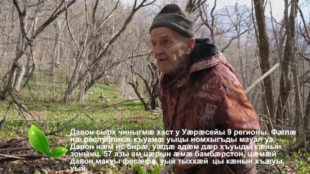 Кардаг (ТРАВЫ) - Давон (ЧЕРЕМША) смотреть онлайн