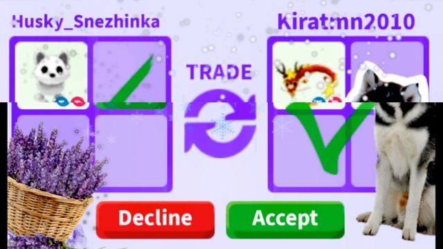 Что дают за фр Арктик лису в адопт ми? 2 часть #roblox #adoptme #роблокс #подпишись смотреть онлайн