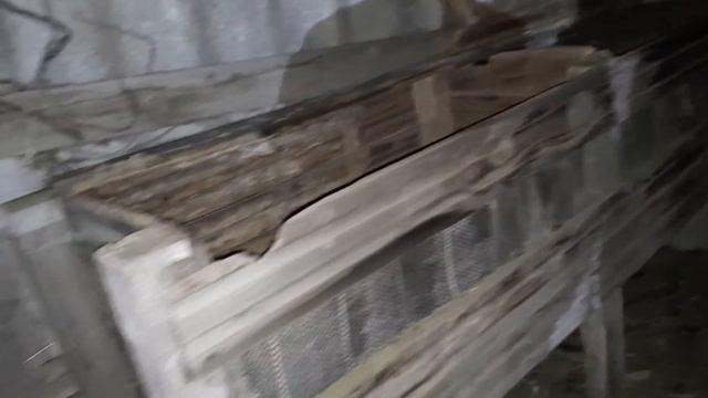 Клетка, Угольки, 1е января) С новым годом! смотреть онлайн
