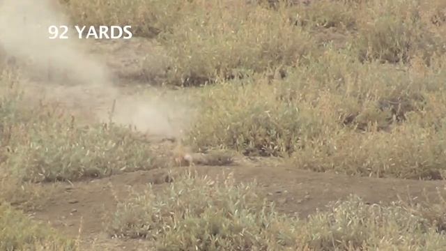 Wyoming Prairie Dog Hunt Episode 4 смотреть онлайн