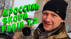 Синдром "Тупой педали" Чистка дросселя Skoda Fabia 1.2 // Авто, который тебя нагнет