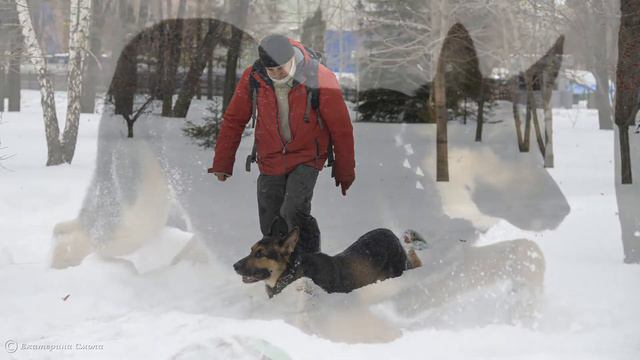 ВЕО Тихий Океан прогулка смотреть онлайн