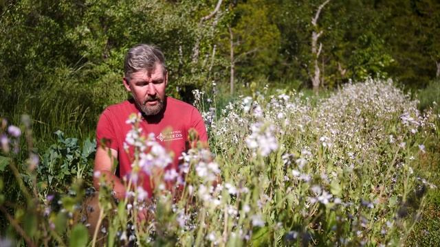 THIS FARM CRACKED THE CODE #2: Seed Whisperer смотреть онлайн